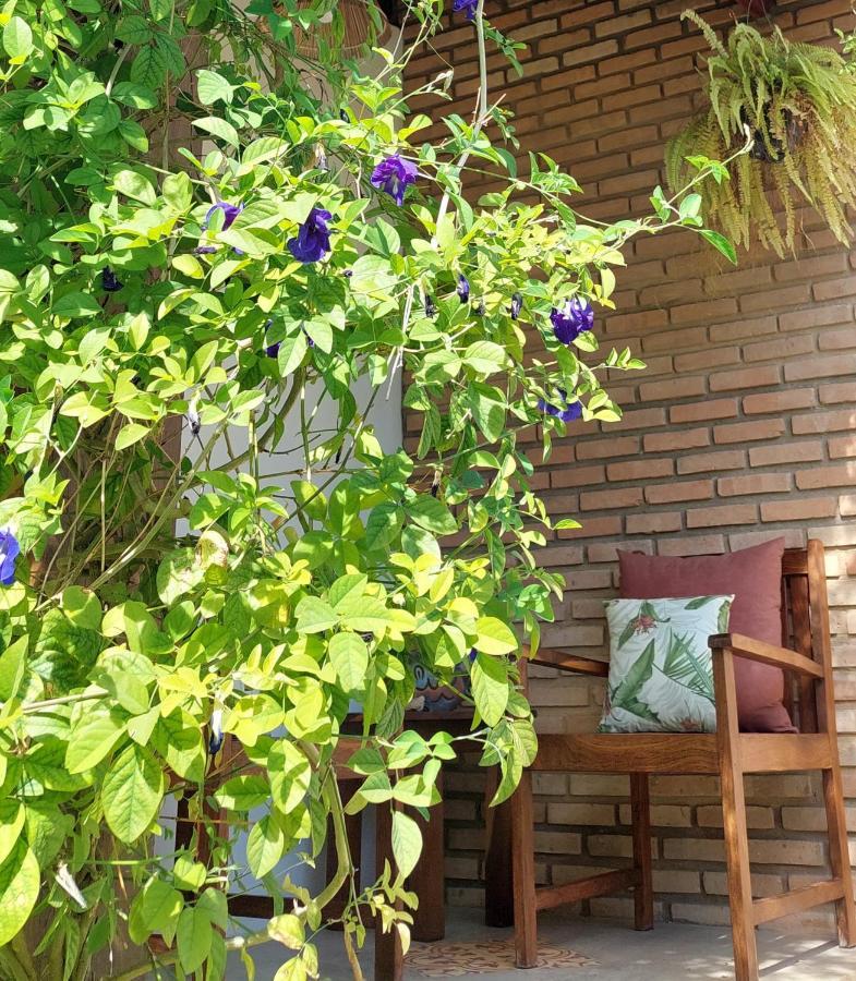 Arataba Hotel Boutique E Bistro - 150 Mts Do Mar Pôrto de Pedras Εξωτερικό φωτογραφία